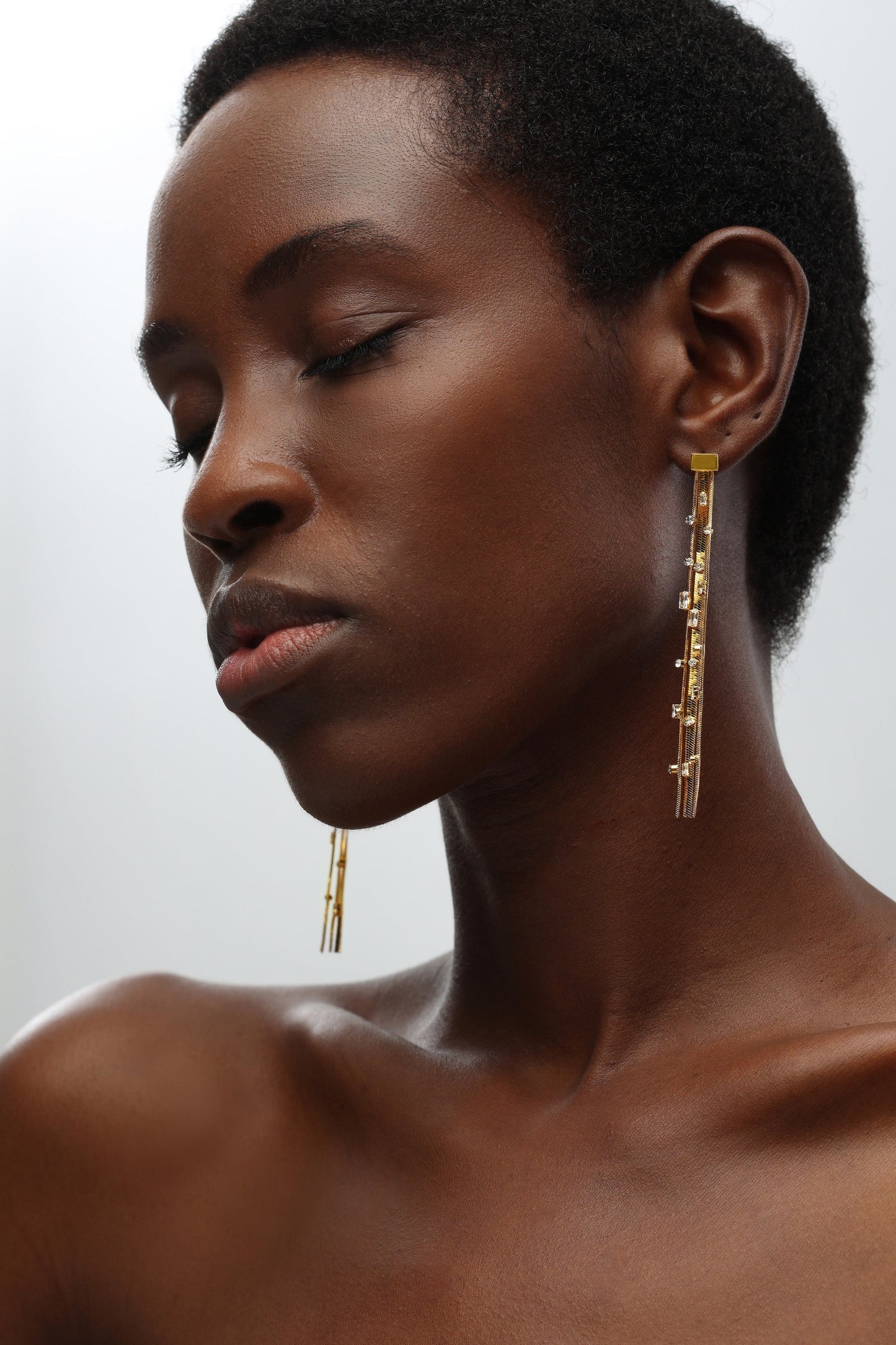 Golden Tassel Zirconia Earrings - Classicharms